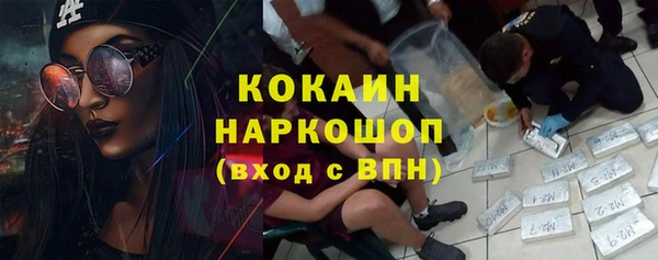 ешки Арсеньев