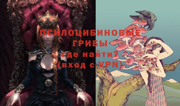ешки Арсеньев