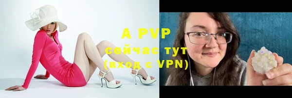 apvp Армянск